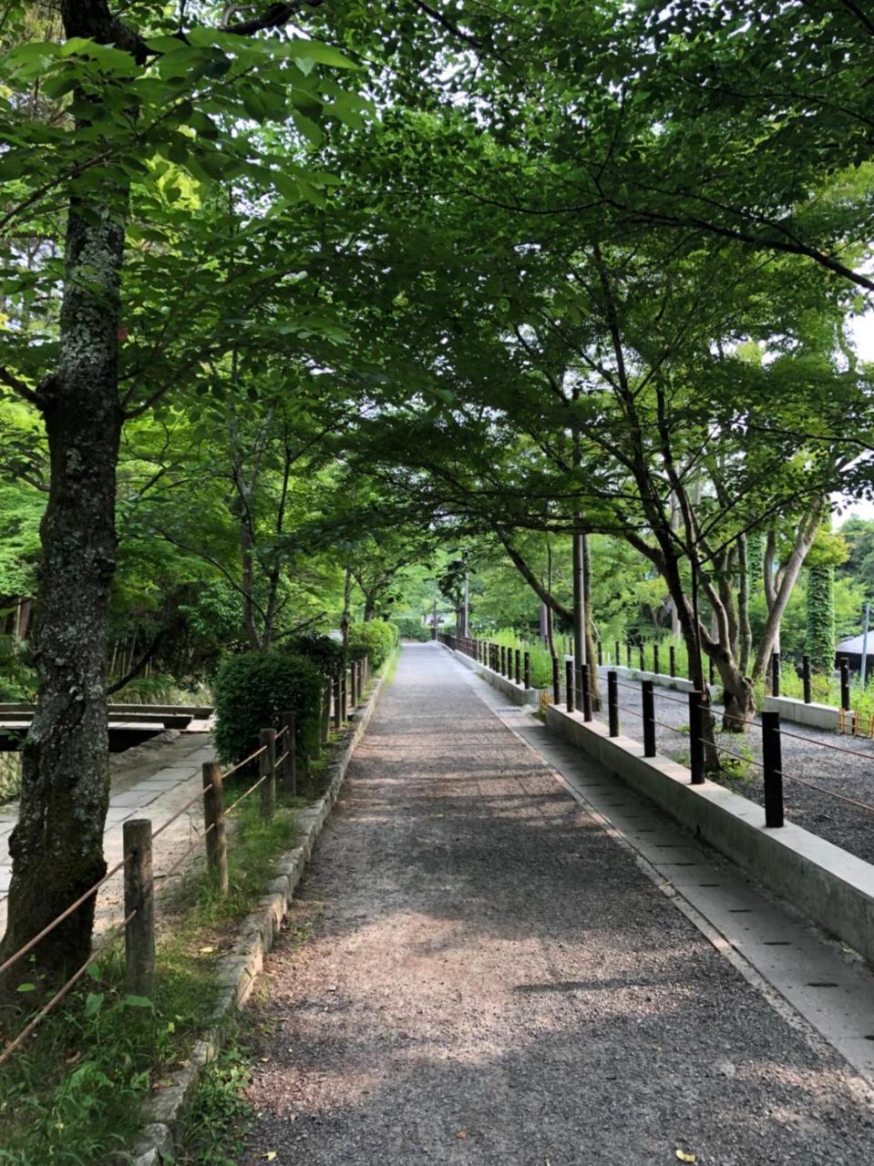 RokuRoku Hotel Kyoto Eksteriør billede